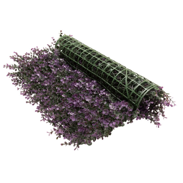 Purple Buxus - Image 2