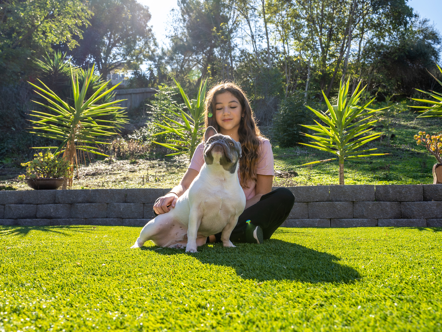 How Does Pet Turf Give Dogs an Unforgettable Experience?