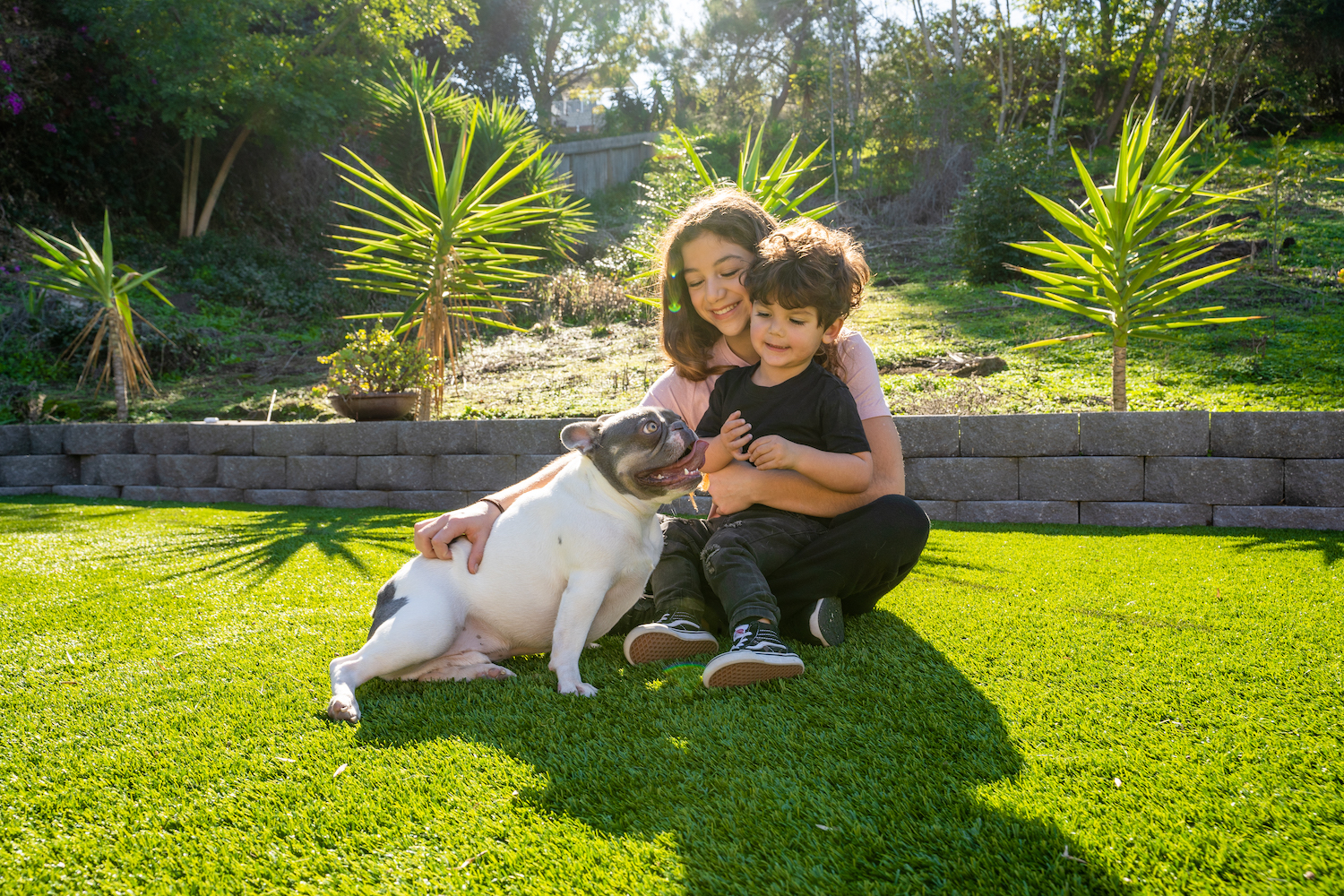 5 FAQs Homeowners Ask About Their New Pet Turf